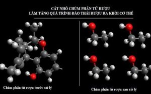 Quá trình đồng hóa dung dịch rượu