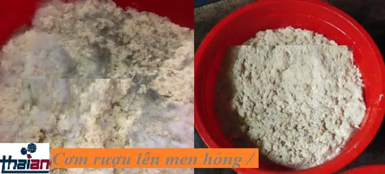 Những lưu ý khi nấu cơm rượu