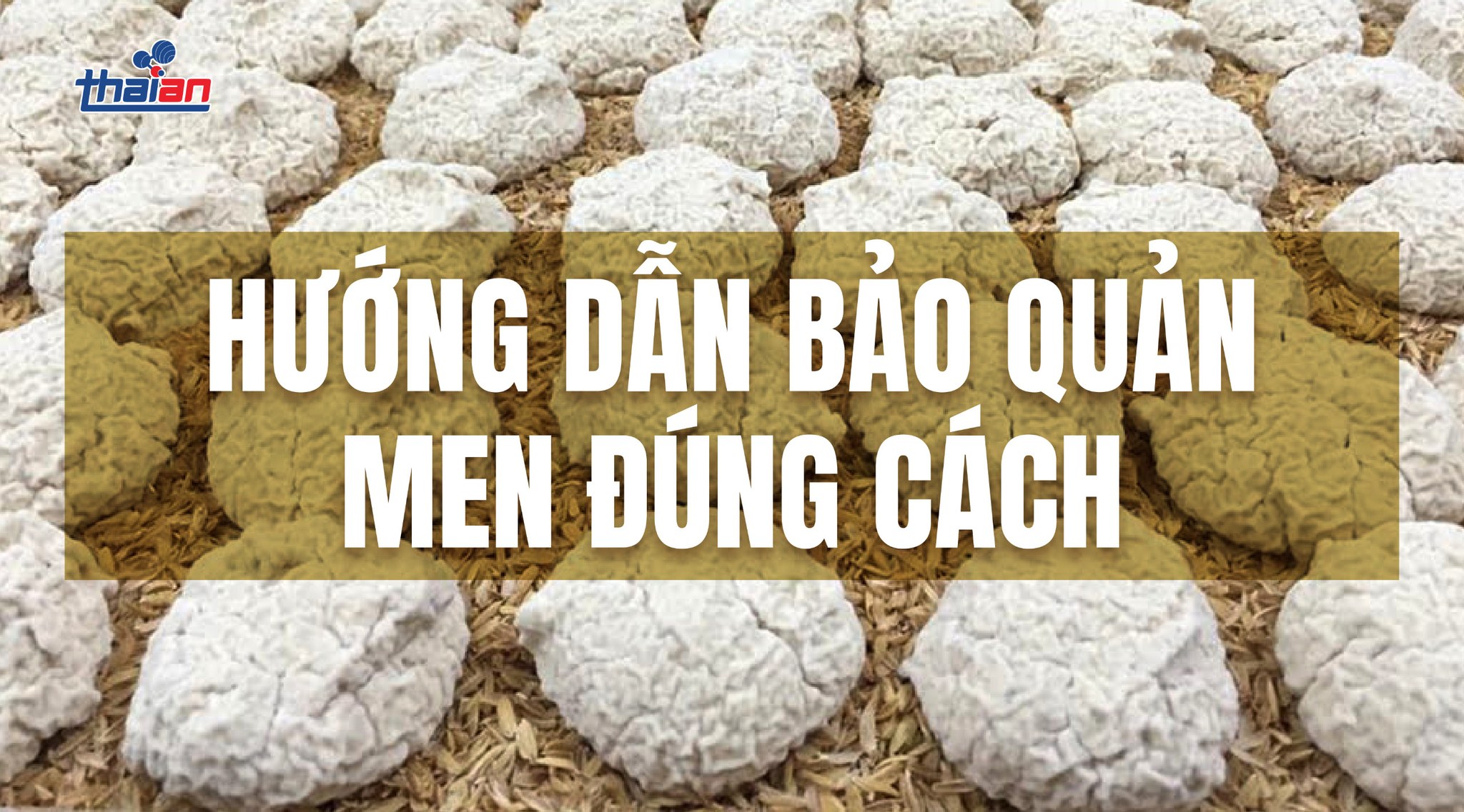 Hướng dẫn bảo quản men rượu đúng cách.