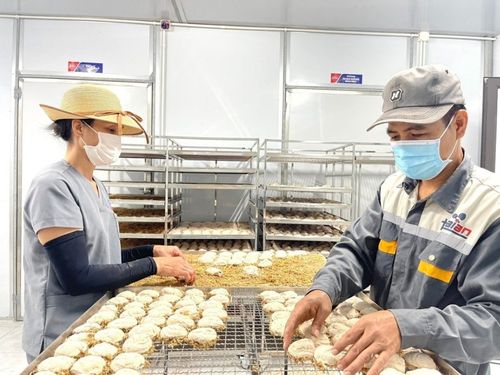 Thiết kế chưa có tên (24)