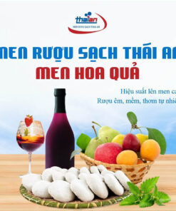 Men rượu hoa quả sạch Thái An