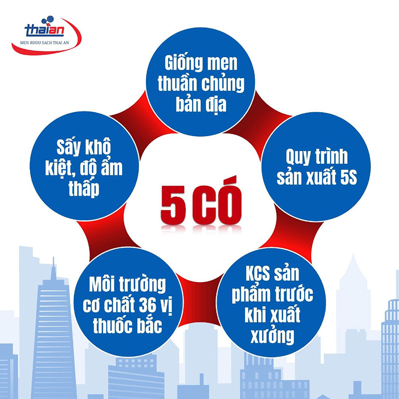 tiêu chuẩn 5 có men lá thái an
