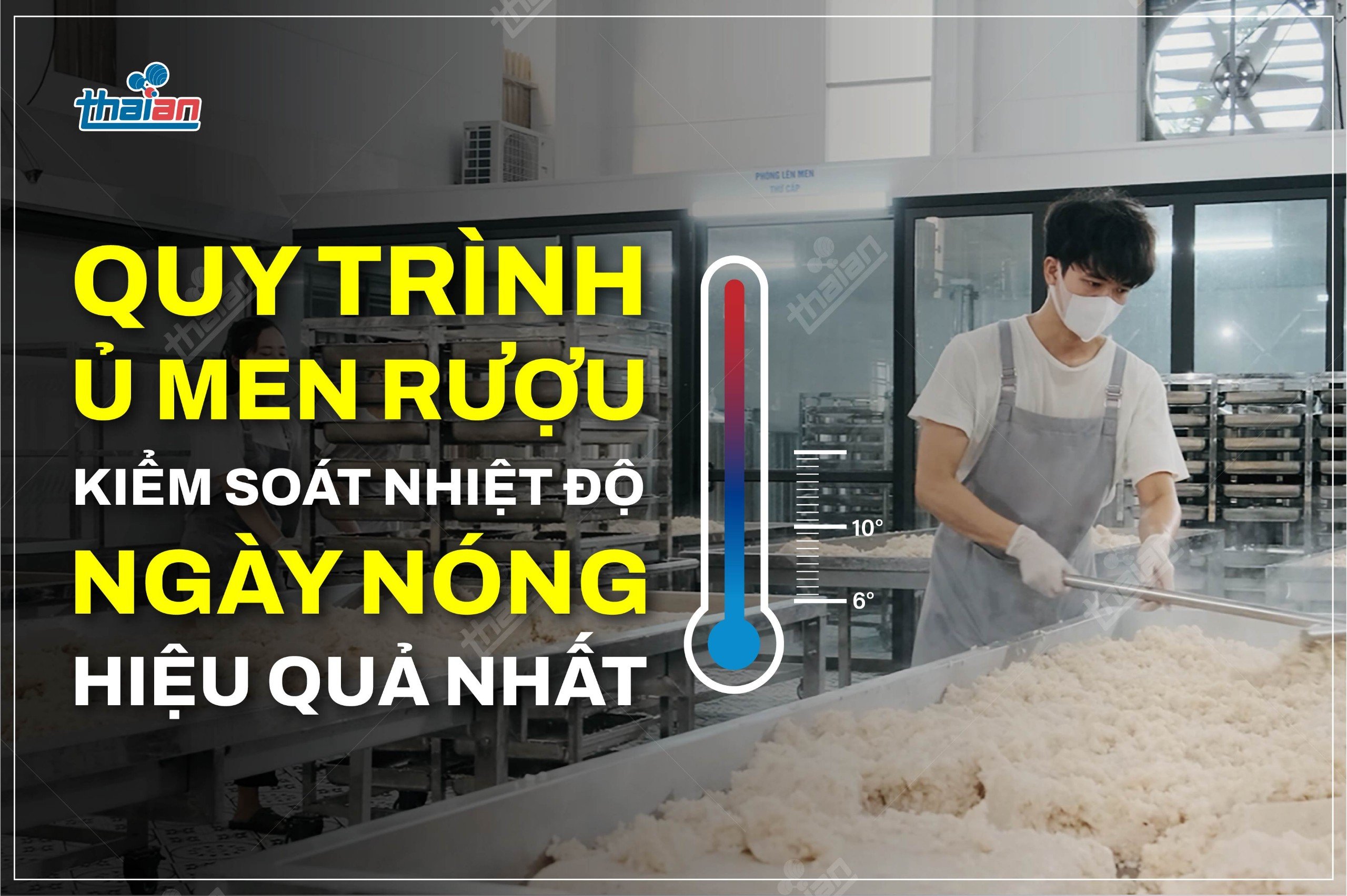 Nhiệt độ phòng lên men
