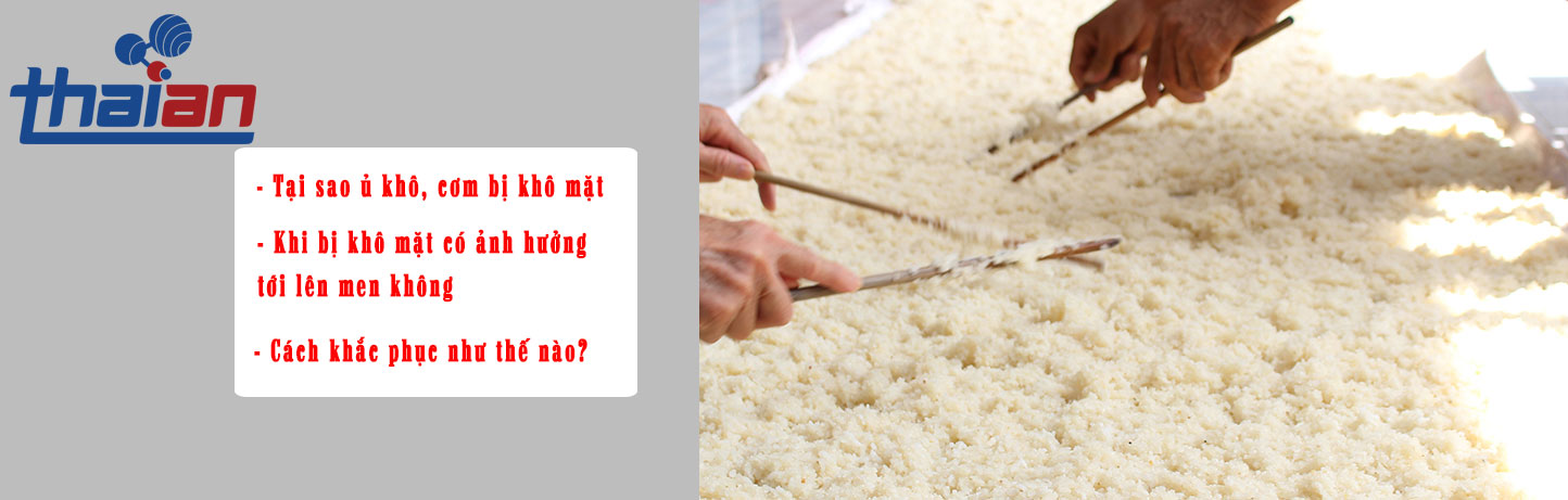 Tại sao ủ khô, cơm bị khô mặt