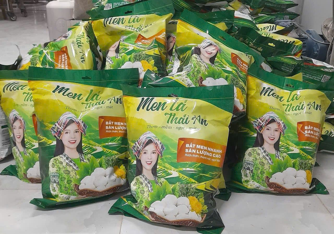 Men lá thuần chủng do Thái An sản xuất