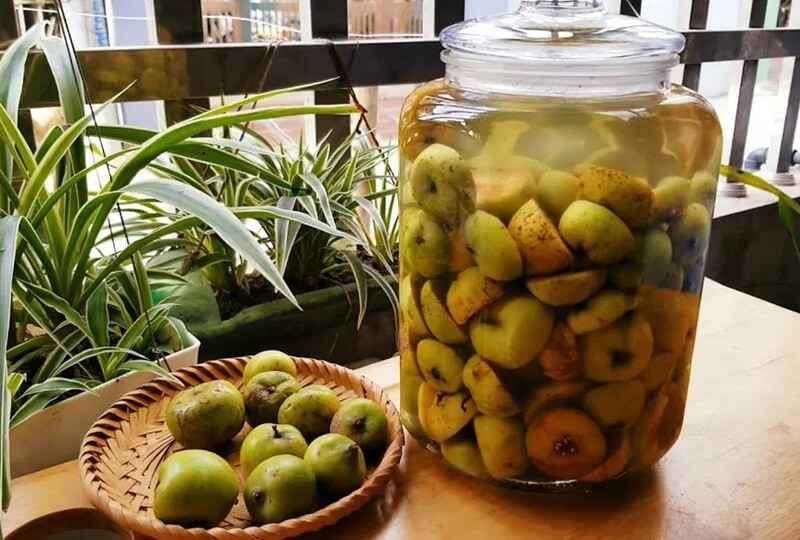 nước táo mèo