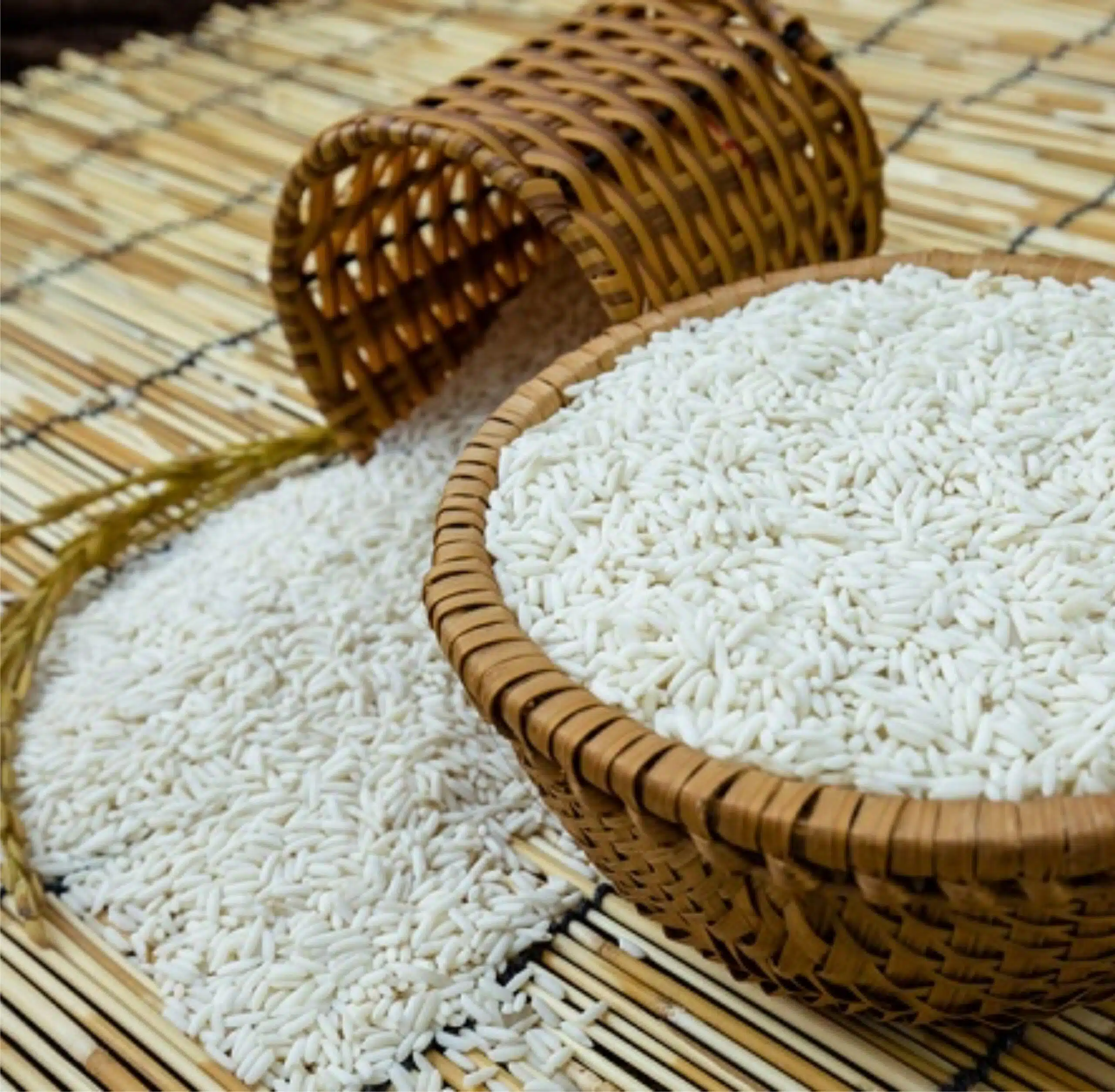 Gạo nếp cái hoa vàng