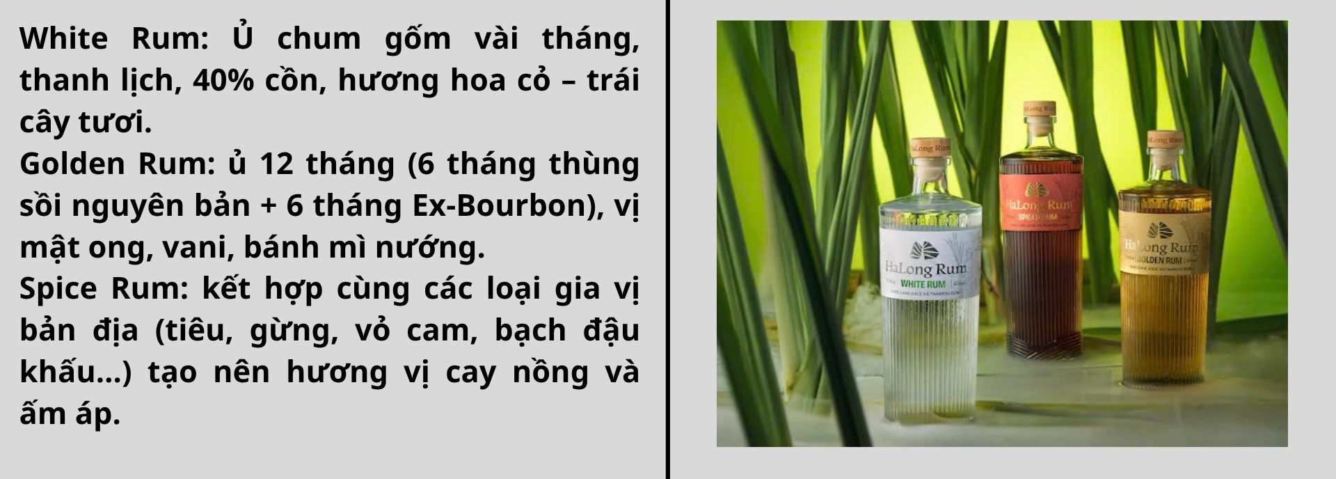 Halong Rum - Hương Vị Di Sản Trong Từng Giọt Rượu (11)