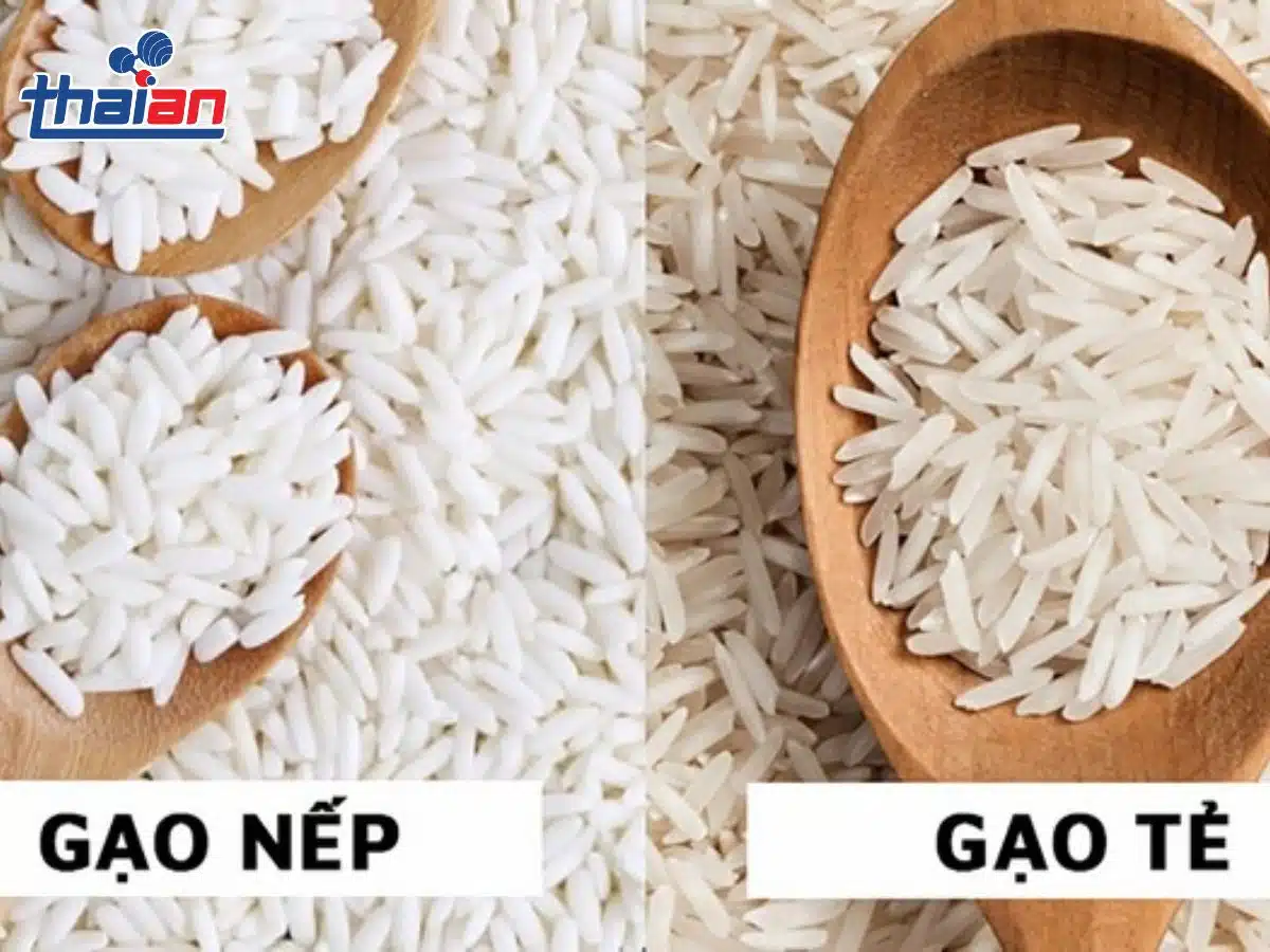 Giải mã 4 yếu tố quyết định hương vị rượu truyền thống thơm ngon (4)