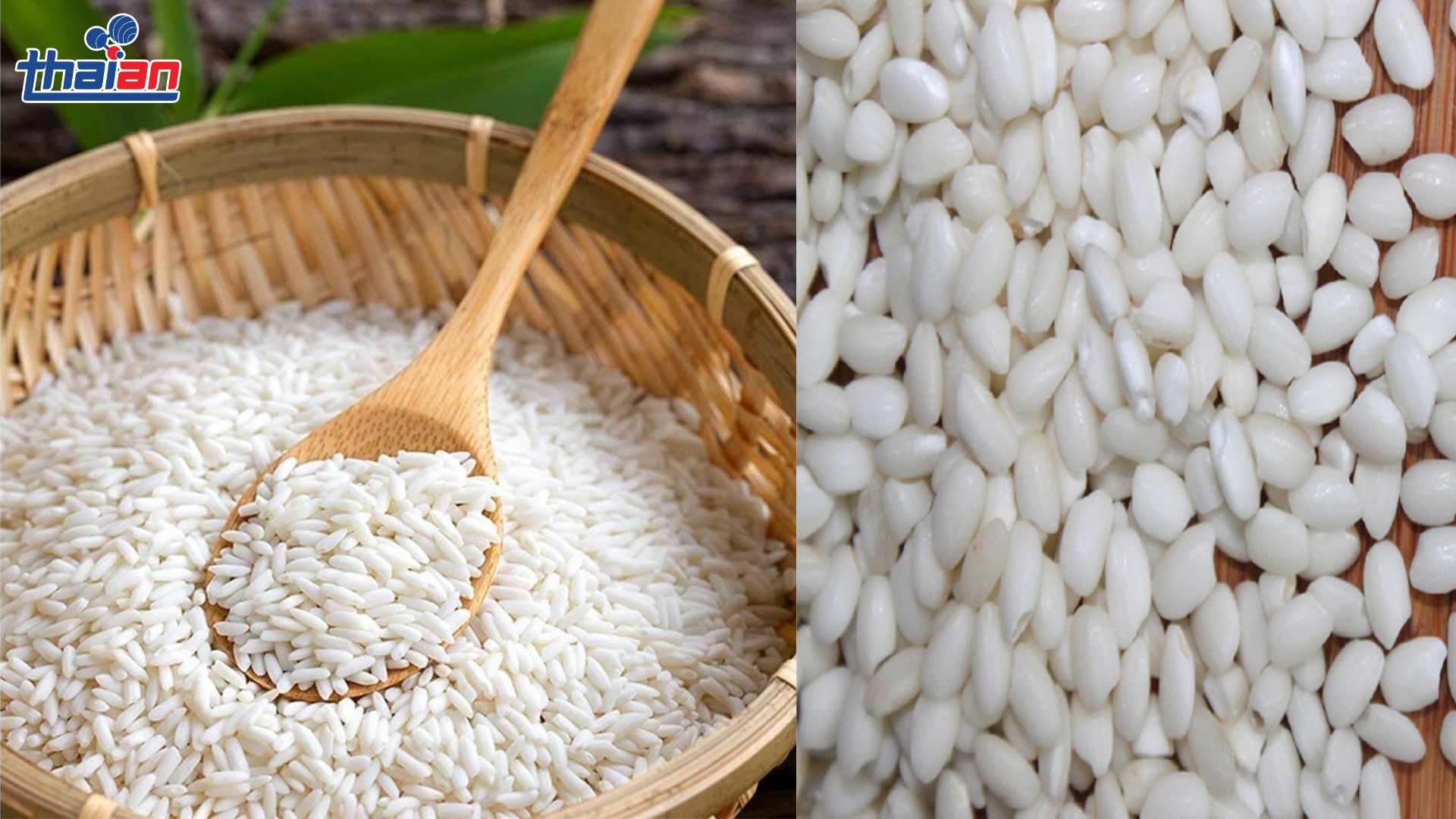 Gạo Nấu Rượu Chọn Loại Gạo Chuẩn Quyết Định Đến Hương Vị & Độ “Được Nước”