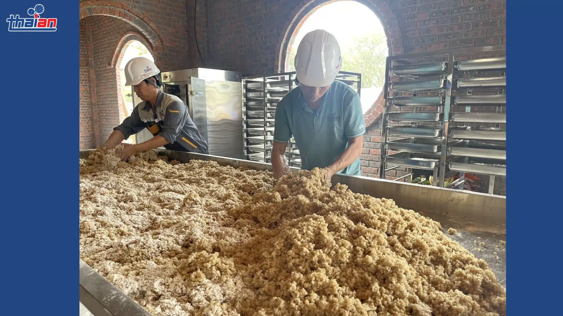 LÊN MEN RƯỢU ENZYME CẦN BAO LÂU ĐỂ HOÀN THÀNH