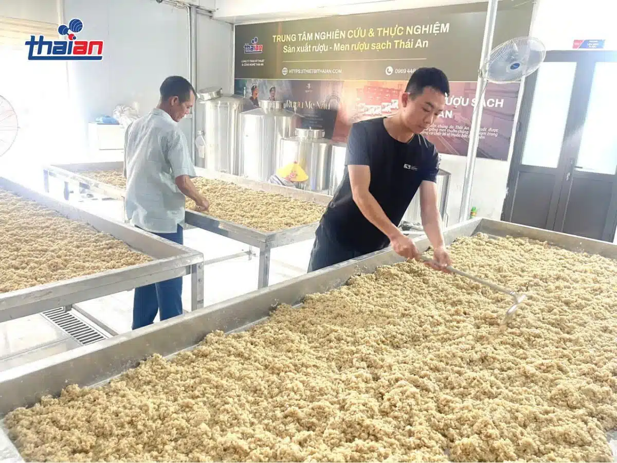 Quy trình sản xuất rượu sạch Thái An