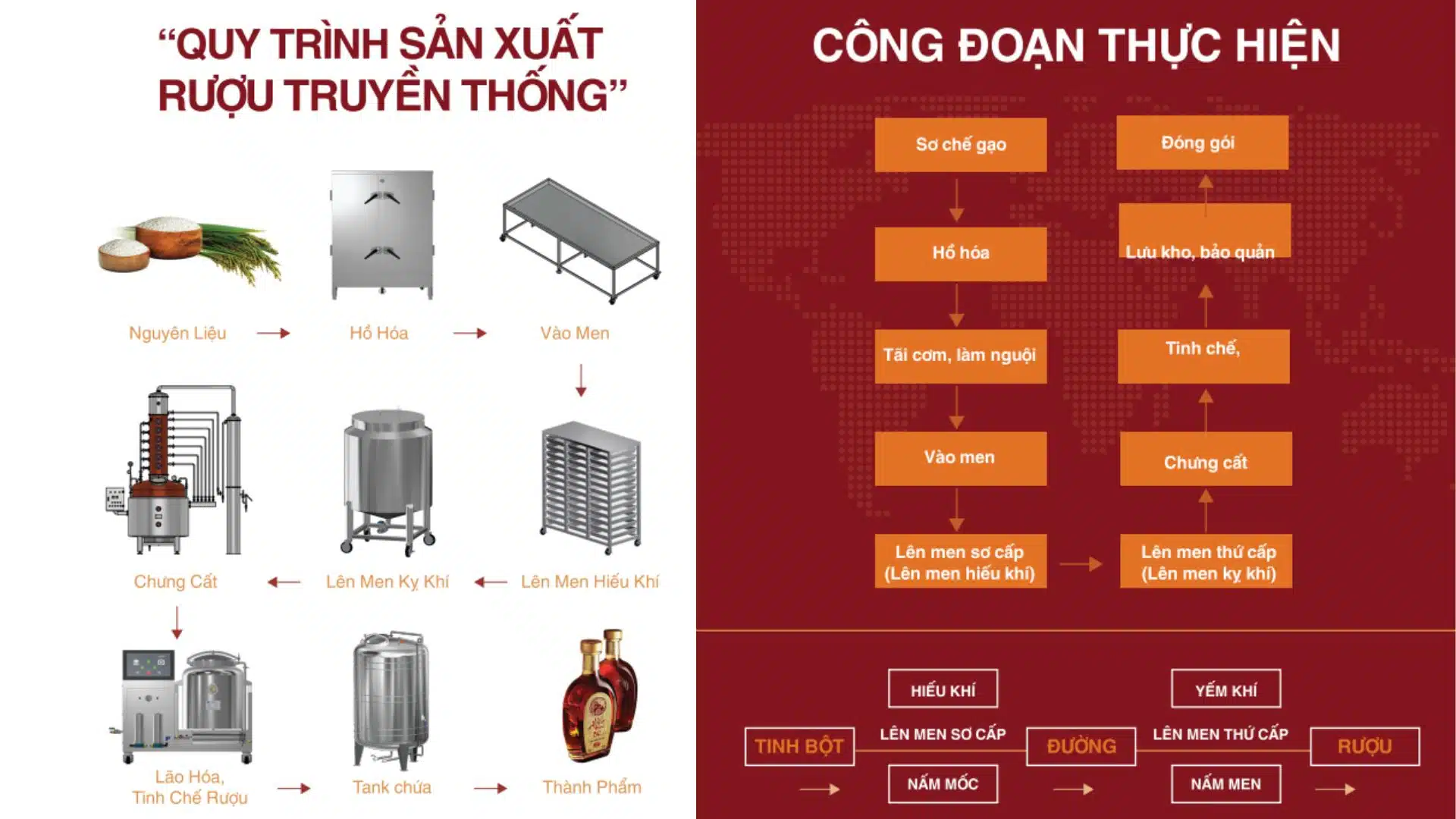 Quy trình sản xuất rượu sạch Thái An – Giải pháp công nghệ đồng bộ cho rượu truyền thống đạt chuẩn