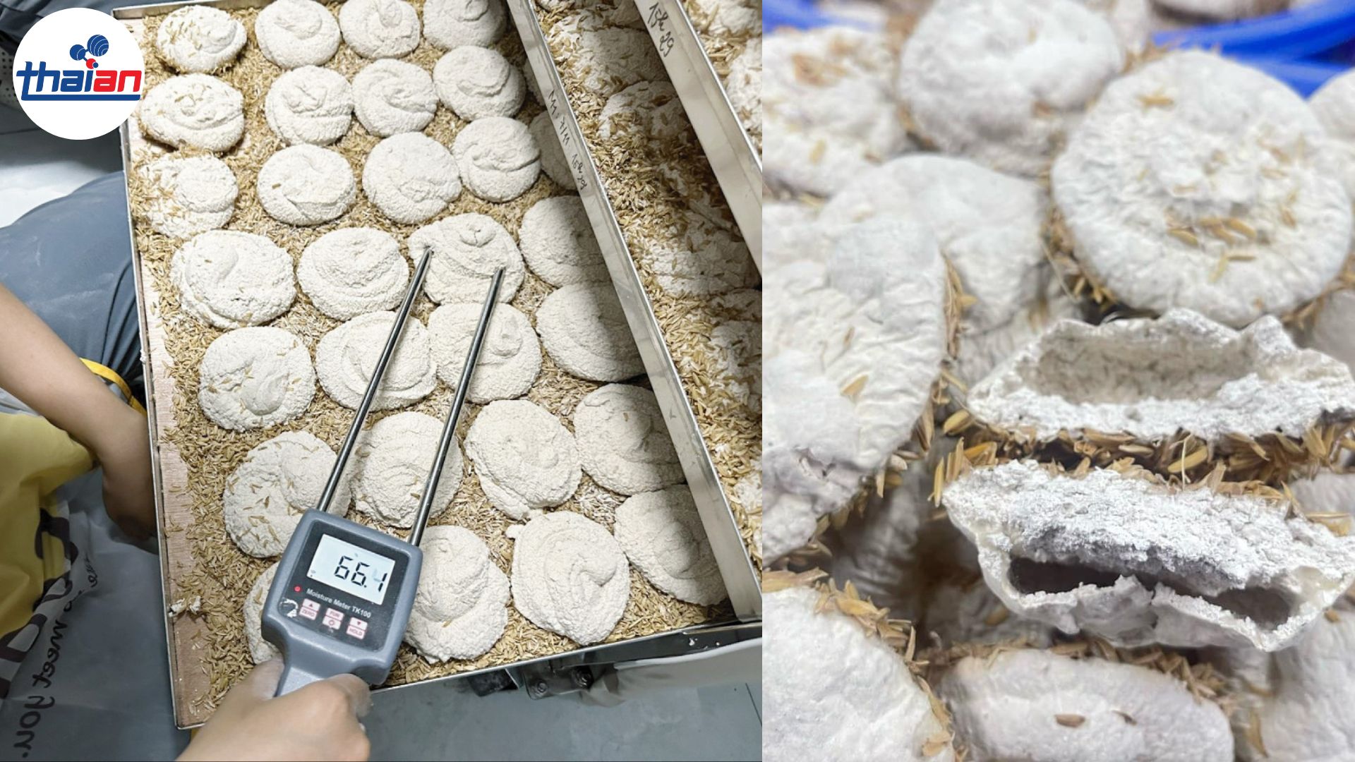 10kg Gạo chưng cất được bao nhiêu lít rượu nguyên chất