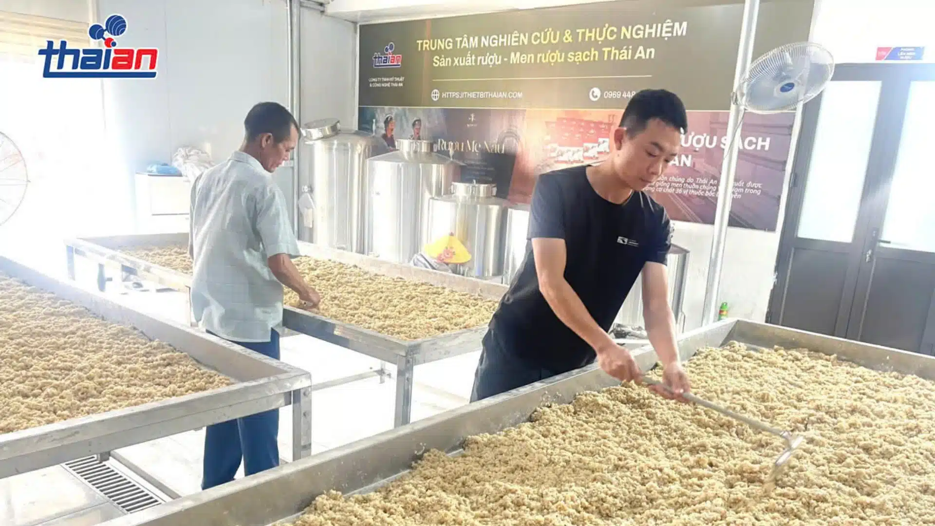 Dạy Nghề Nấu Rượu Truyền Thống Miễn Phí