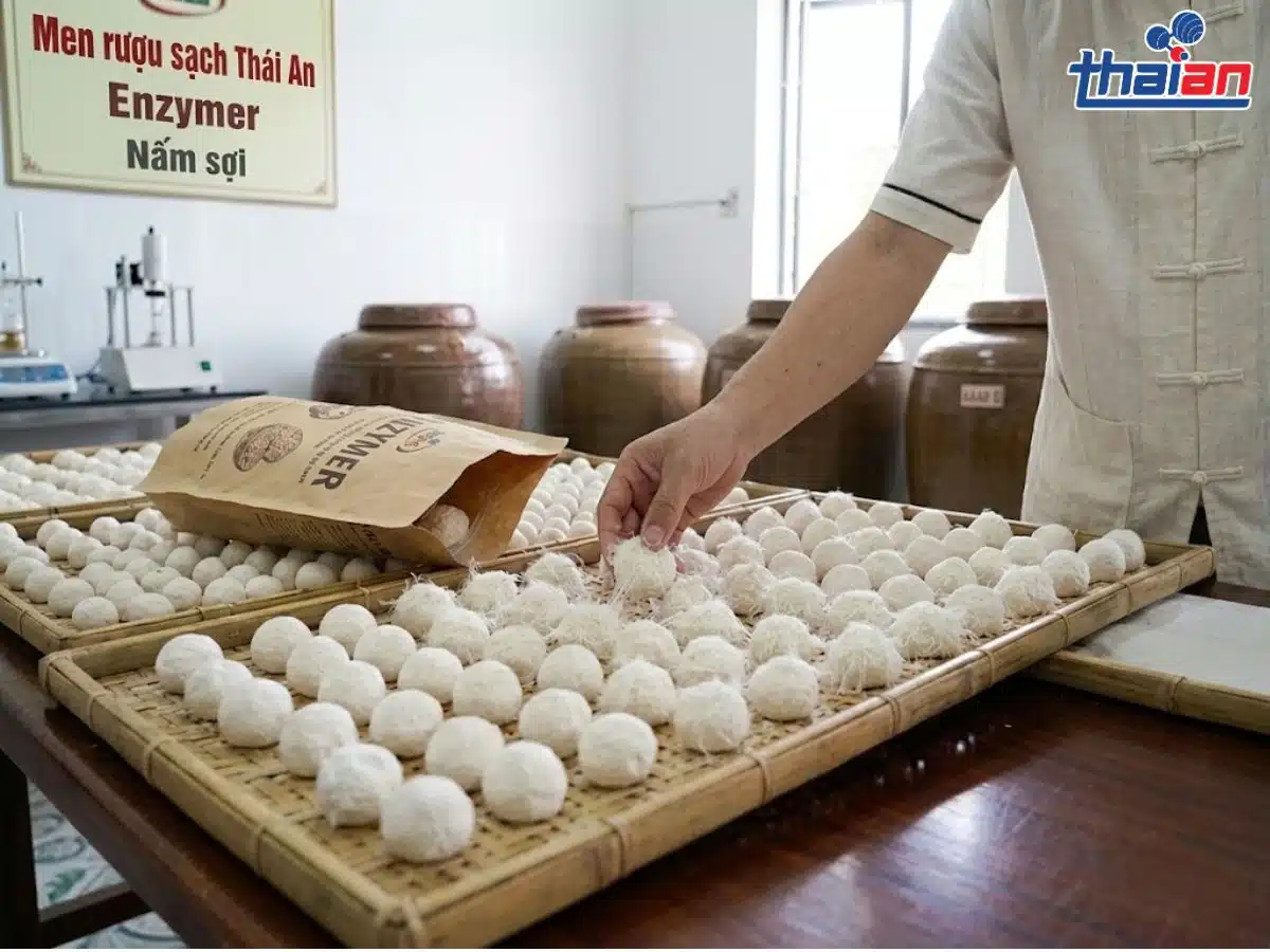 Men Rượu Enzymer Nấm Sợi Nâng Tầm Rượu Việt Bằng Công Nghệ Vi Sinh