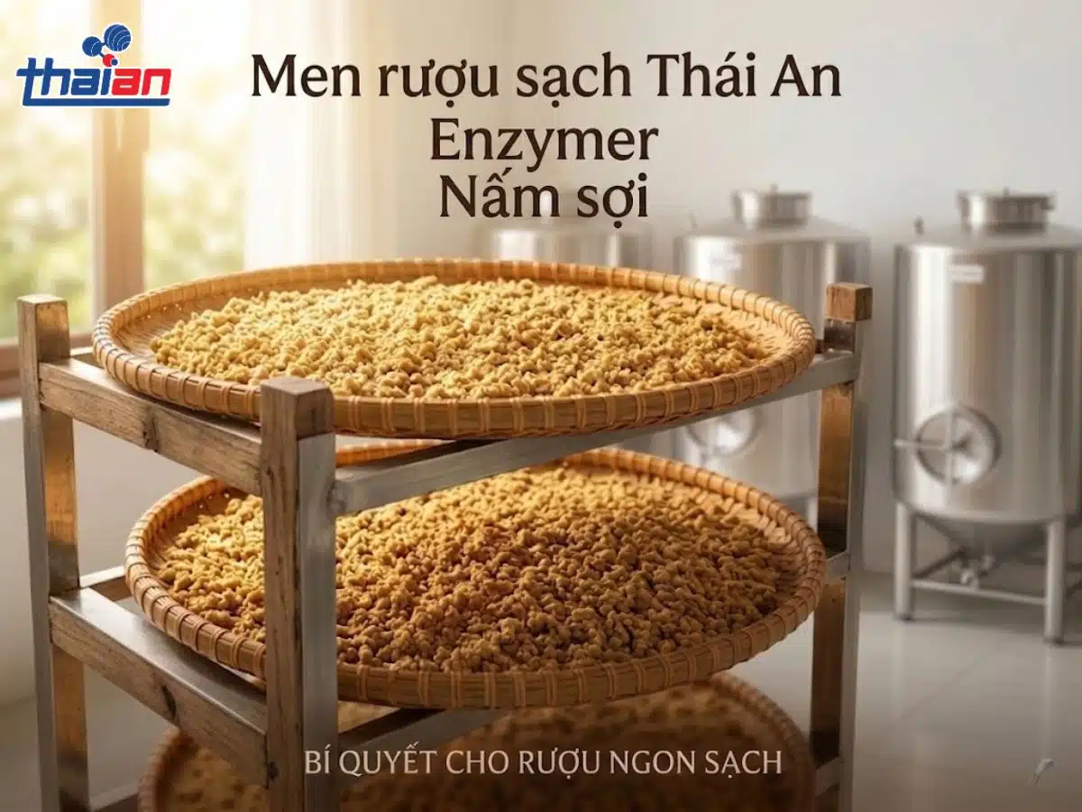 Men Rượu Enzymer Nấm Sợi Nâng Tầm Rượu Việt Bằng Công Nghệ Vi Sinh