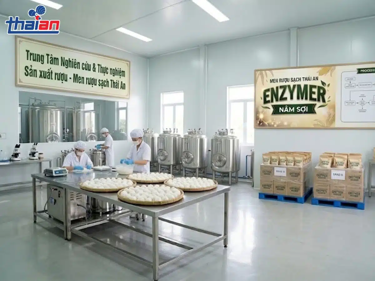 Men Rượu Enzymer Nấm Sợi Nâng Tầm Rượu Việt Bằng Công Nghệ Vi Sinh