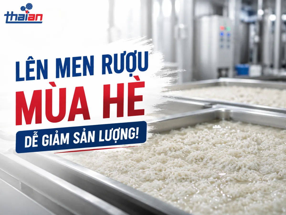Vì sao lên men rượu mùa hè dễ giảm sản lượng (3)
