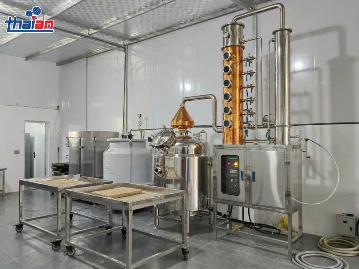 dây chuyền sản xuất rượu 100–150kgmẻ cho khách hàng tại Hà Tĩnh (1)