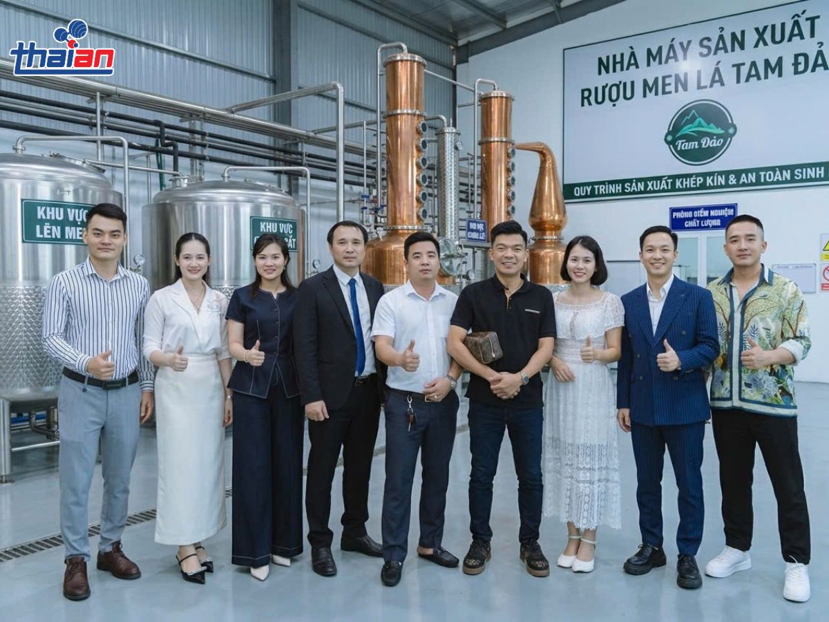 Tháp chưng cất rượu Nguyên lý, cấu tạo và giải pháp từ Thái An