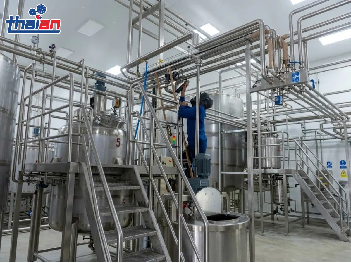 Hệ thống bồn lên men dung tích lớn cho nhà máy sản xuất rượu tại Thái An
