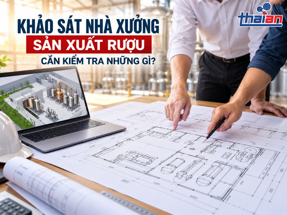 Khảo sát nhà xưởng sản xuất rượu cần kiểm tra những gì