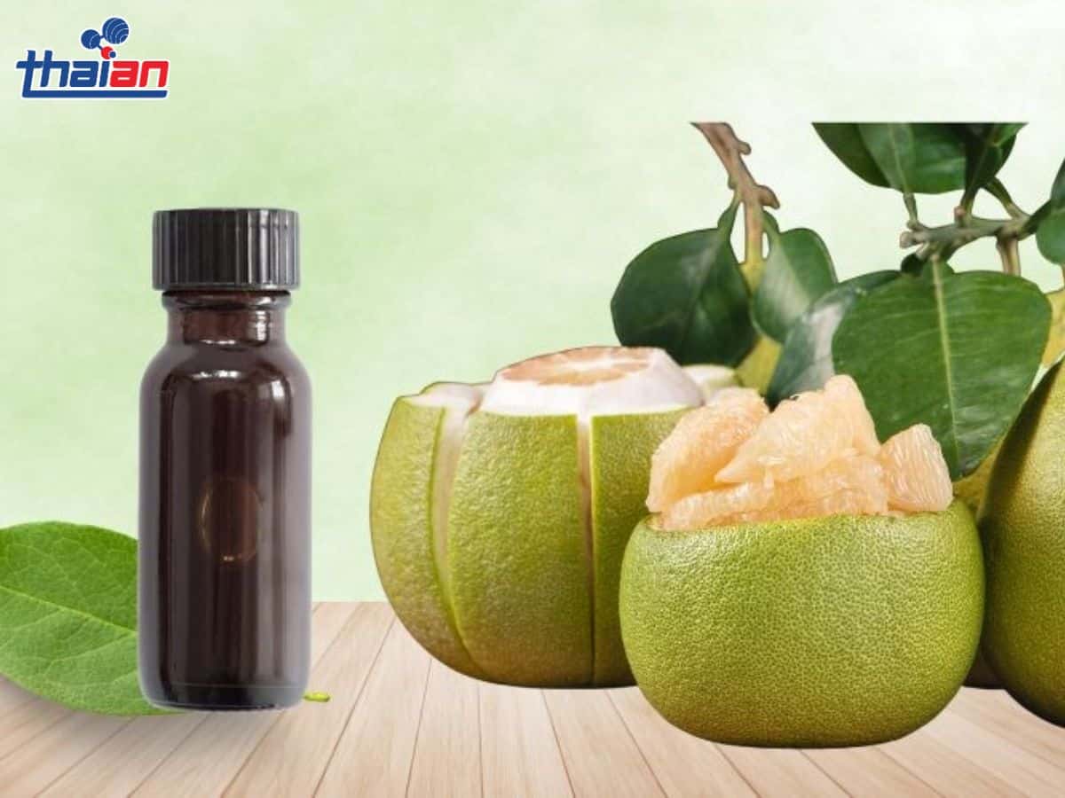 Tinh dầu là gì Khái niệm, công dụng và cách sử dụng an toàn 
