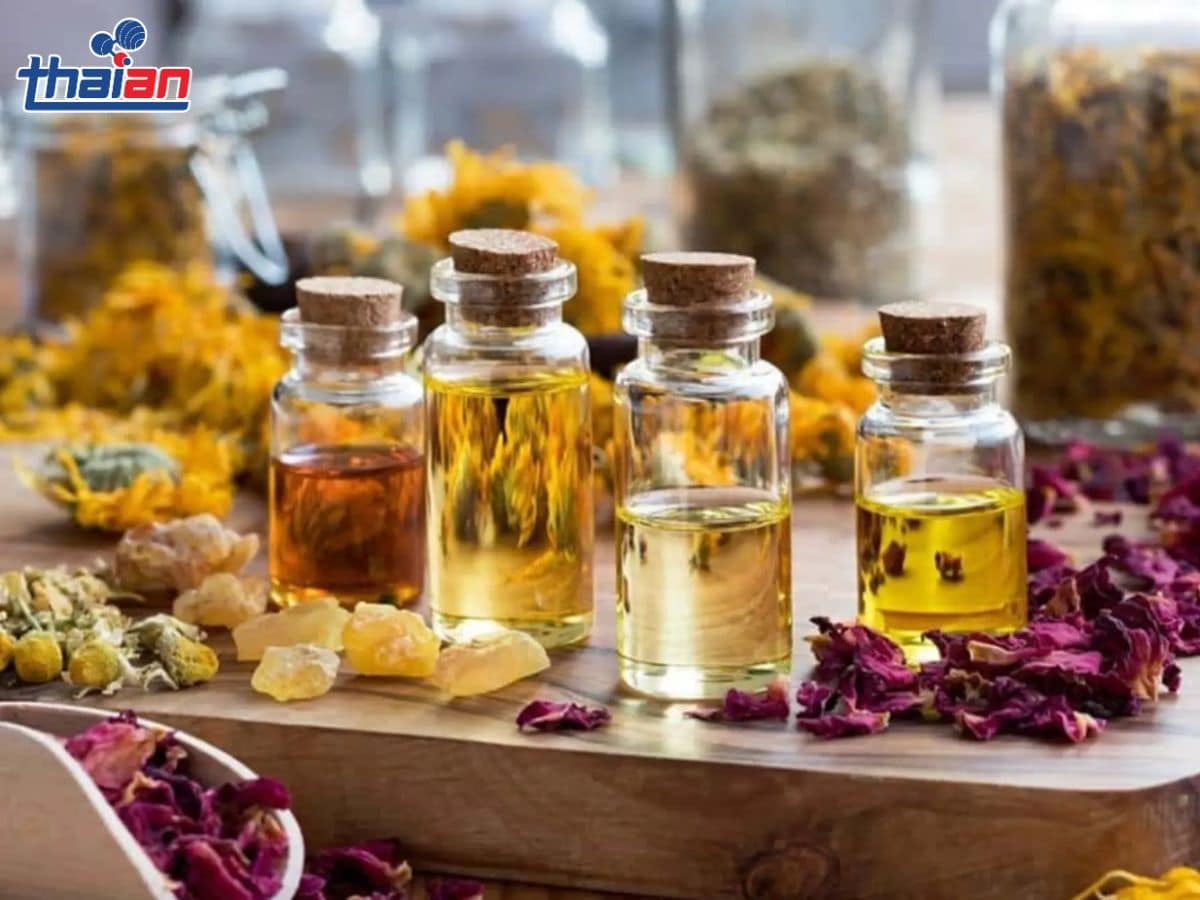 Tinh dầu là gì Khái niệm, công dụng và cách sử dụng an toàn 