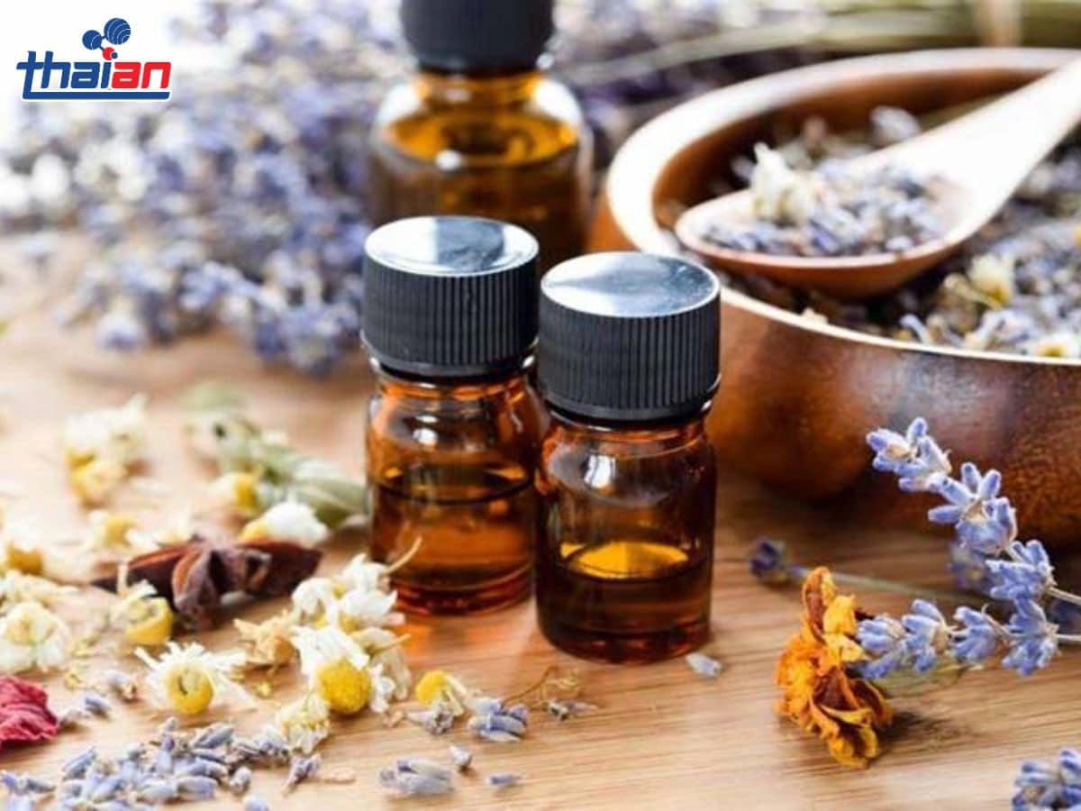 Tinh dầu là gì Khái niệm, công dụng và cách sử dụng an toàn 